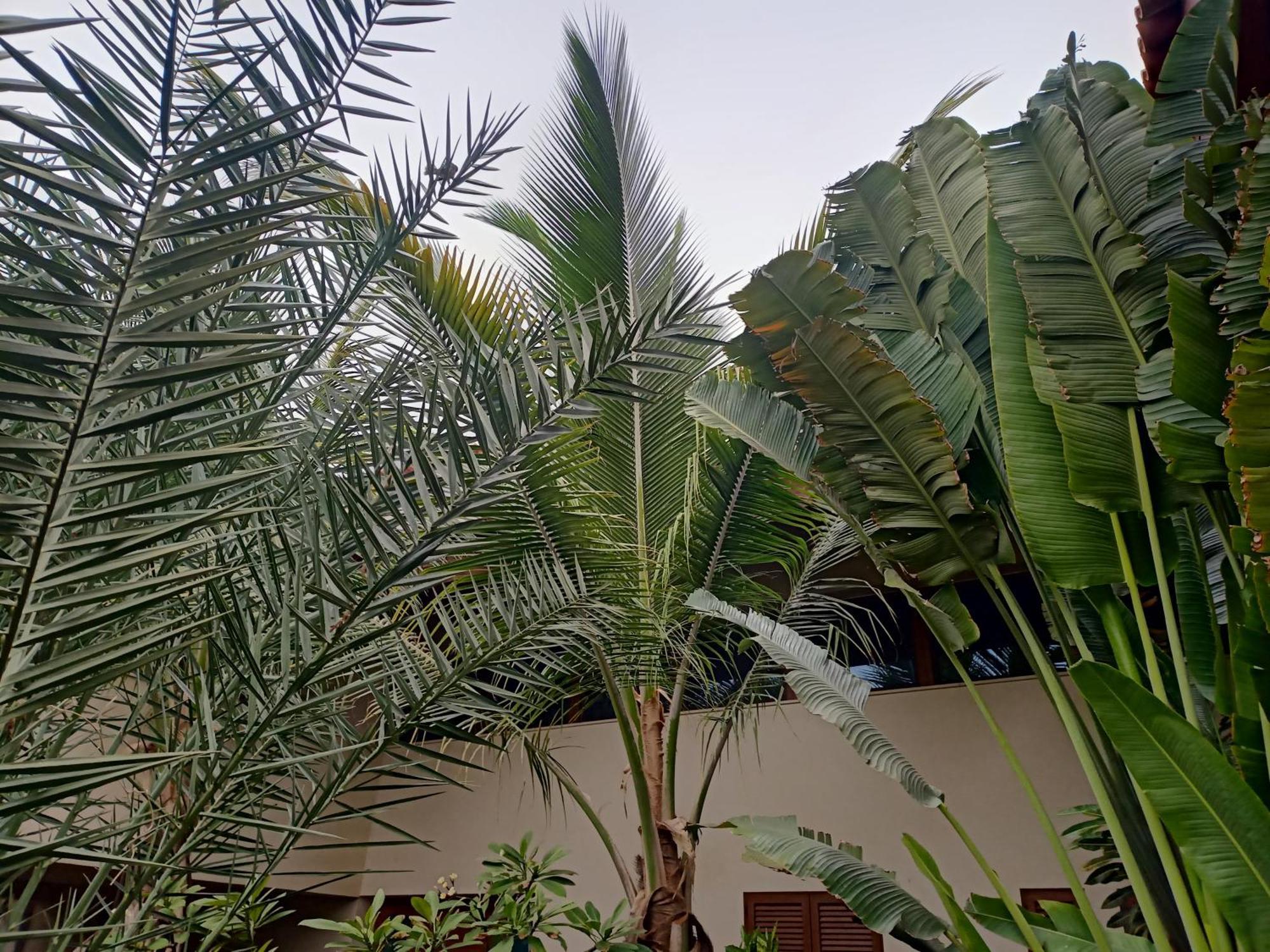 Casa Das Buganvilias Praia Bagian luar foto