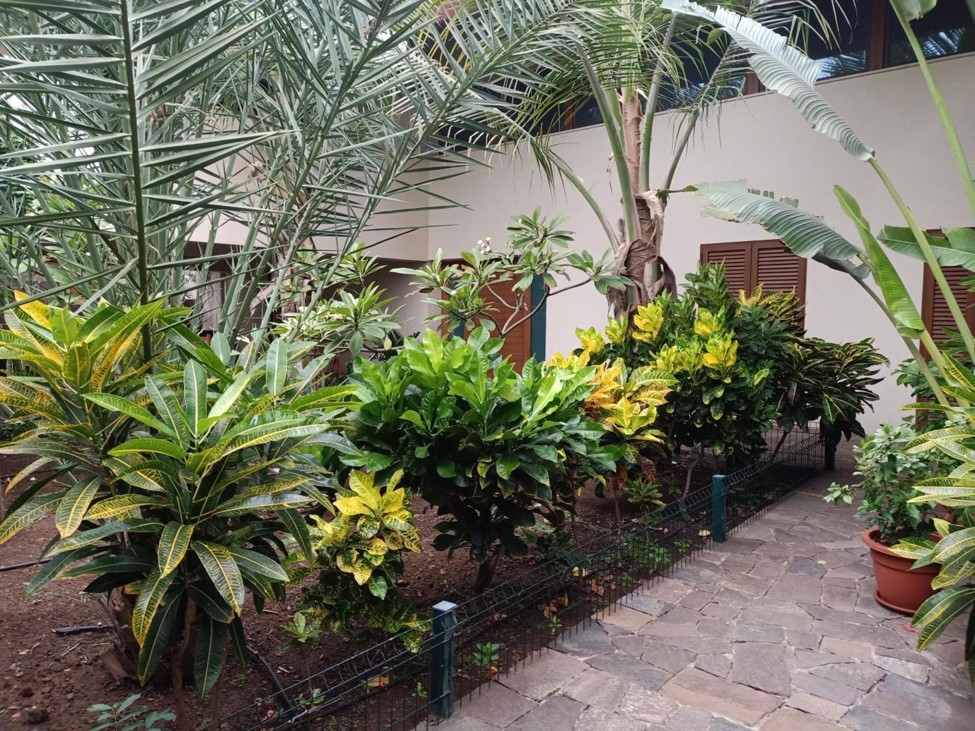 Casa Das Buganvilias Praia Bagian luar foto