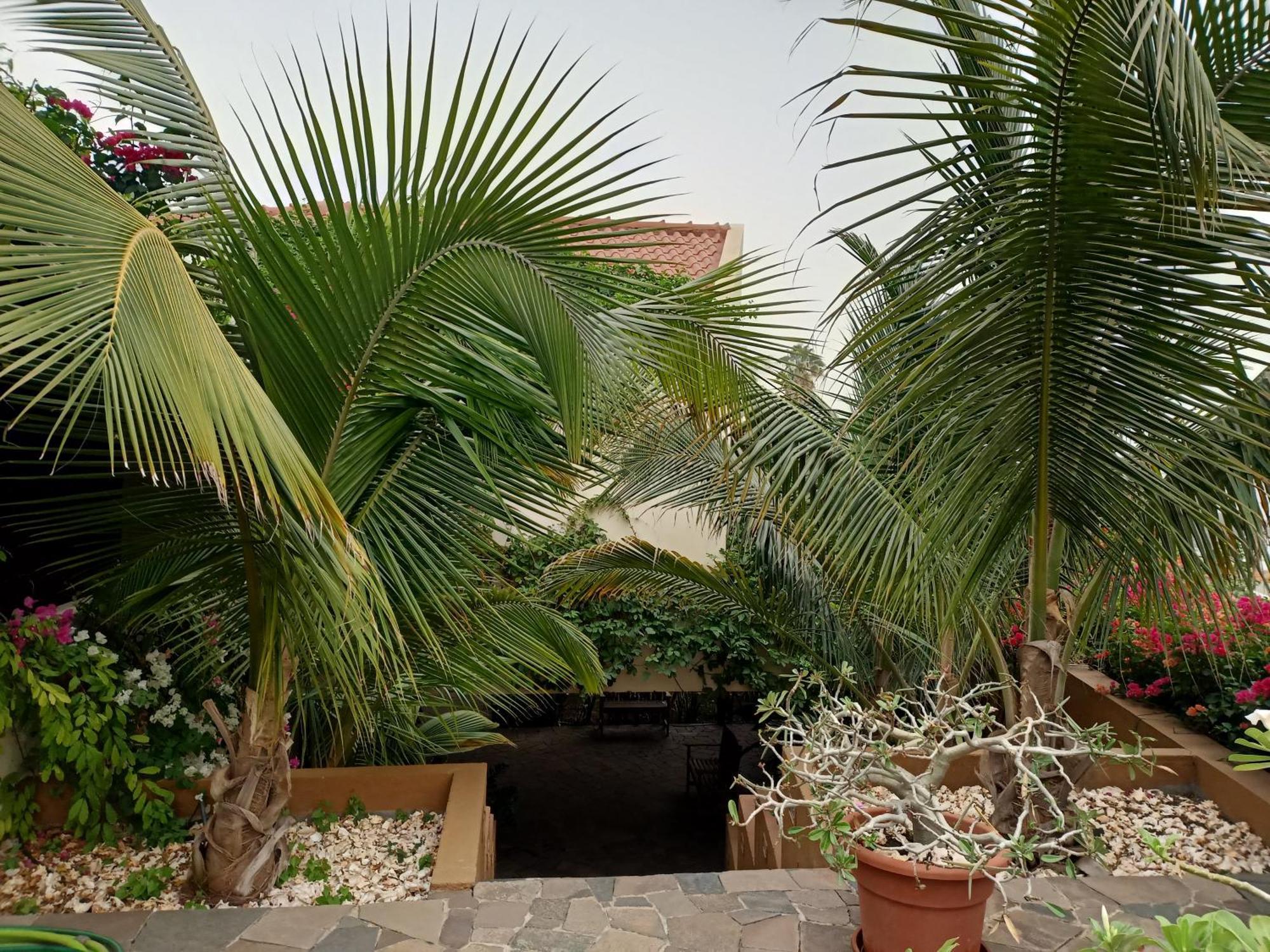 Casa Das Buganvilias Praia Bagian luar foto